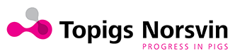 Logo Topigs Norsvin - Progress in pigs